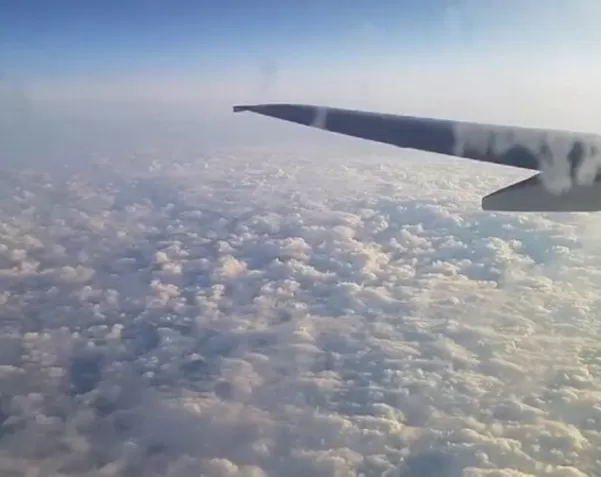 Эммануэль сцена в самолете порно видео